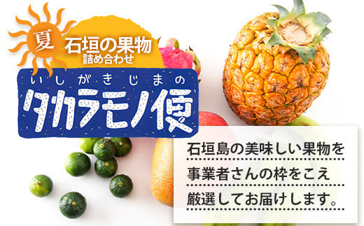 《2026年夏に順次発送予定》石垣島の夏「果物」詰め合わせ～夏のタカラモノ果物便～【 産地直送 沖縄 石垣 石垣島 くだもの トロピカルフルーツ 果物 南国 フルーツ 詰め合わせ フルーツ便 】SH-5