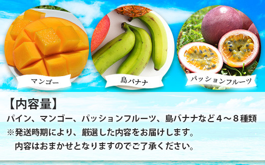 《2026年夏に順次発送予定》石垣島の夏「果物」詰め合わせ～夏のタカラモノ果物便～【 産地直送 沖縄 石垣 石垣島 くだもの トロピカルフルーツ 果物 南国 フルーツ 詰め合わせ フルーツ便 】SH-5