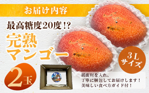 ãå
è¡äºçŽãã2026幎6æäžæ¬ïœ7æäžæ¬çºéã æé«ç³åºŠ20床ïŒïŒ å®çïŒ3Lãµã€ãº ç³å£å³¶ãã³ãŽãŒ 2ççŽ800gãæ²çž ç³å£å³¶ ç³å£ å
«éå±± ãã³ãŽãŒ å®çãã³ãŽãŒ æééå® æ°ééå® æ²çžç ç³å£å³¶ç£ ãTF-5-1_R8
