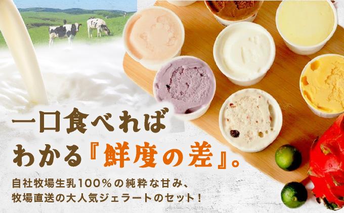 石垣島ミルミル本舗 南の島から島素材ジェラート！【沖縄セット 12個入り】（1個 132ml）　Z-6　【石垣島 石垣市 沖縄県石垣市 セット ジェラート 石垣島産 八重山】