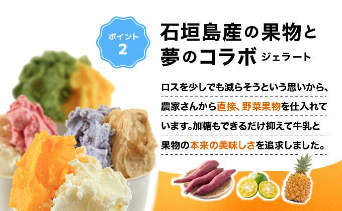 石垣島ミルミル本舗 南の島から島素材ジェラート！【沖縄セット 12個入り】（1個 132ml）　Z-6　【石垣島 石垣市 沖縄県石垣市 セット ジェラート 石垣島産 八重山】