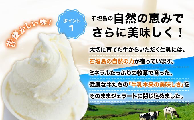 石垣島ミルミル本舗 南の島から島素材ジェラート！【沖縄セット 12個入り】（1個 132ml）　Z-6　【石垣島 石垣市 沖縄県石垣市 セット ジェラート 石垣島産 八重山】