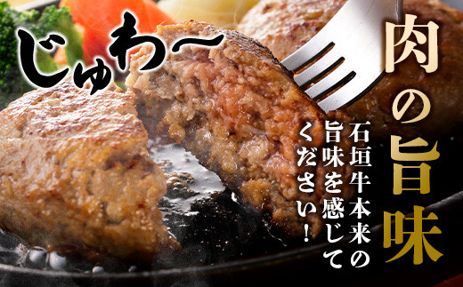 高級 黒毛和牛 石垣牛 100% 自家製 ハンバーグ 100g × 6個 600g　I-21