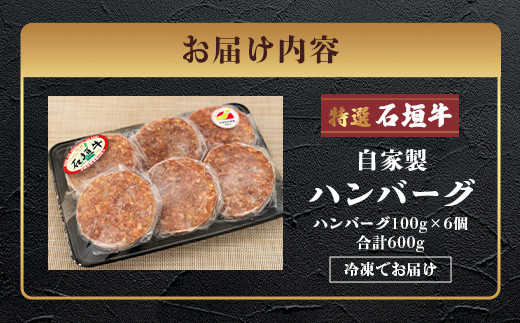 高級 黒毛和牛 石垣牛 100% 自家製 ハンバーグ 100g × 6個 600g　I-21