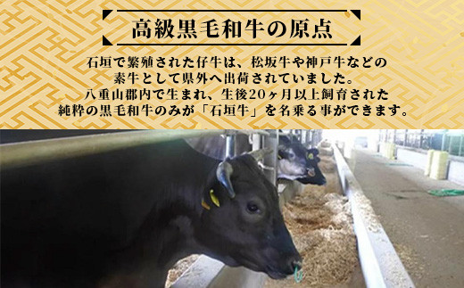 高級 黒毛和牛 石垣牛 100% 自家製 ハンバーグ 100g × 6個 600g　I-21