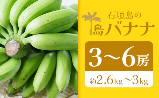 ＜先行予約＞ 石垣島の島バナナ 3～6房 (約2.6～3kg前後入り) ＜2026年7月より順次発送＞ 爽やか酸味のスッキリ系バナナ、少し冷やしてもイイんです！ SI-34