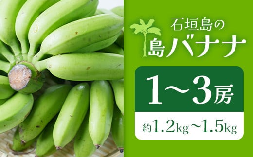 ＜先行予約＞ 石垣島の島バナナ 1～3房 (約1.2～1.5kg前後入り) ＜2026年7月より順次発送＞ 爽やか酸味のスッキリ系バナナ 少し冷やしてもイイんです！ SI-33