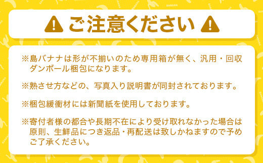 ＜先行予約＞ 石垣島の島バナナ 1～3房 (約1.2～1.5kg前後入り) ＜2026年7月より順次発送＞ 爽やか酸味のスッキリ系バナナ 少し冷やしてもイイんです！ SI-33