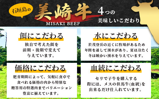 美崎牛ハンバーグ 100g×10個【 お肉 美崎牛 ハンバーグ 牛肉 肉 】（tokyoFMで紹介された美崎牛です！♪） O-6