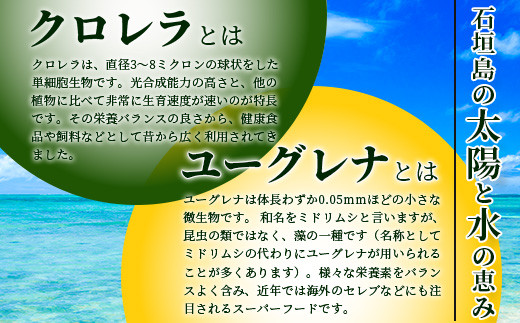 竕ェ縺昴≧繧√s竕ォ縺昴≧繧√s竕ォ遏ウ蝙」蟲カ縺ョ繝ヲ繝シ繧ー繝ャ繝奇シ繧ッ繝ュ繝ャ繝ゥ蜈・繧贋ケセ鮗コ(4繧サ繝繝亥・繧雁喧邊ァ邂アテ暦シ醍ョア縲∝粋險茨シ斐そ繝繝茨シ俄サシ1繧サ繝繝医◎縺繧√s180ス1陲九∫音陬ス縺、繧2鬟溷・繧奇シ峨舌◎縺繧√s 繧ス繝シ繝。繝ウ 繝ヲ繝シ繧ー繝ャ繝 蛛・蠎キ 鄒主ョケ 邏鮗オ 鮗コ 豐也ク逵 豐也ク 逅臥帥 蜈ォ驥榊アア 蜈ォ驥榊アア隲ク蟲カ 遏ウ蝙」蟲カ 遏ウ蝙」 遏ウ蝙」蟲カ逕」 縲羨R-2