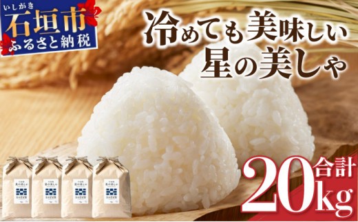 石垣島産 星の美しゃ（ほしのかいしゃ）20kg（5kg×4袋）【 日本一早い新米の産地 ふるさと納税 沖縄県 石垣市 石垣島 米 星 星の美しゃ】MK-5