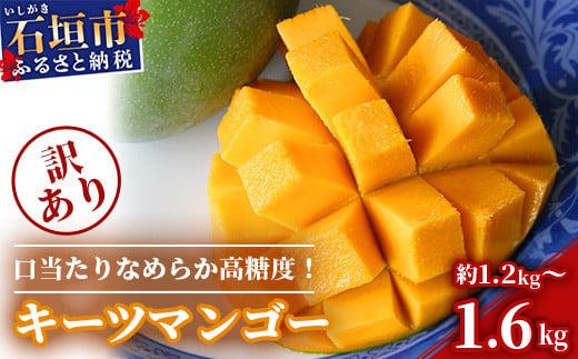 ＜予約受付＞【訳あり】沖縄県石垣島産 キーツマンゴー 約1.2kg～1.6kg【2026年8月発送】【口当たりがなめらかな 高糖度マンゴー】【規格外】