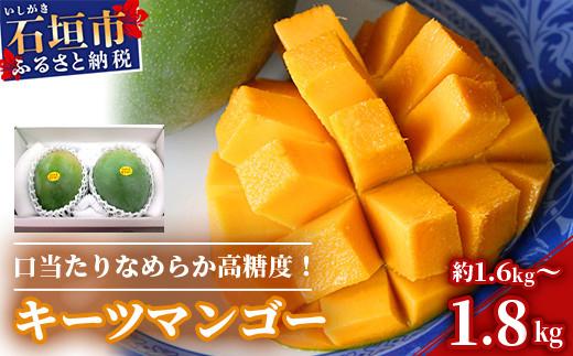 ＜先行予約＞沖縄県石垣島産 キーツマンゴー 約1.6～1.8kg【2026年8月発送】【口当たりがなめらかな 高糖度マンゴー】