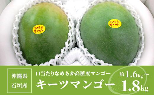 ＜先行予約＞沖縄県石垣島産 キーツマンゴー 約1.6～1.8kg【2026年8月発送】【口当たりがなめらかな 高糖度マンゴー】