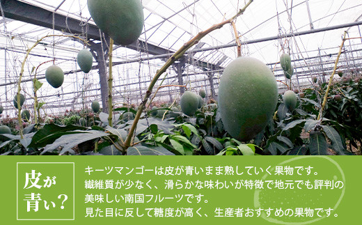 ＜先行予約＞沖縄県石垣島産 キーツマンゴー 約1.6～1.8kg【2026年8月発送】【口当たりがなめらかな 高糖度マンゴー】