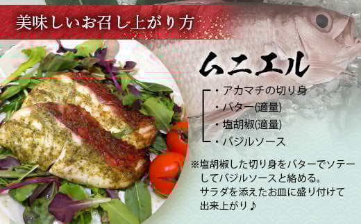 【予約受付】高級ブランド魚 尖閣赤マチ 2～3尾 合計約5kg 下処理済 【沖縄三大高級魚】尖閣諸島 刺身 焼魚 煮物 鮮魚 冷凍 ムニエル 天然 洋食 和食 白身魚 高級魚 GK-1