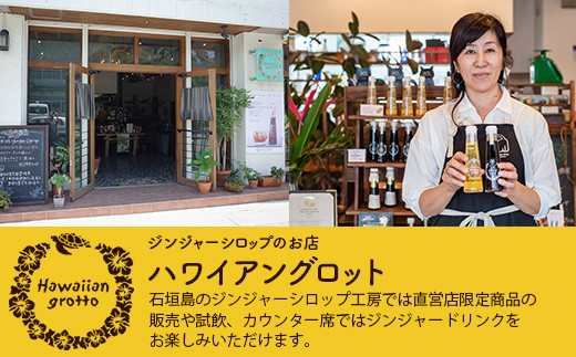 ジンジャーシロップ飲み⽐べ3種セット(120ML×3本) HW-1 【沖縄県石垣市 沖縄 沖縄県 琉球 八重山 八重山諸島 石垣 石垣島 送料無料 ⽯垣島産⽣姜 生姜 シロップ ジンジャー ジンジャーシロップ グラニュー糖 黒糖 砂糖 ⾚唐⾟⼦ 果汁 塩 ⽯垣の塩 レモングラス レモン フルーツ ミント  ギフト 国産】