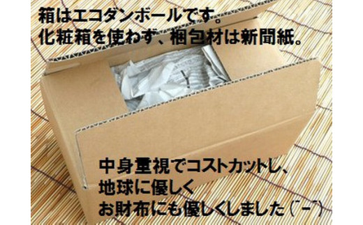 ＜予約受付＞【訳あり】完熟アップルマンゴー 2~4個 約1kg ＜2026年7月中旬以降発送＞ | マンゴー 沖縄 石垣 規格外 SI-029