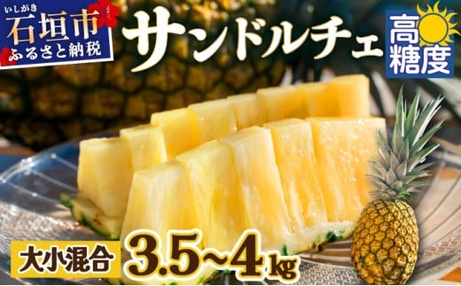 【先行予約】《2025年夏季 順次発送》【訳あり】石垣島産 サンドルチェパイン 約3.5～4kg【甘さ最高パインの「訳あり」の大小混合セット】【規格外】SI-28