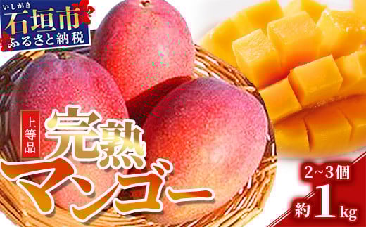 ＜先行予約＞ 石垣島産 完熟マンゴー 約1kg エコ箱入り (2～3個入り) ＜2026年7月中旬以降発送＞ | SI-031