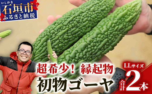 【予約受付】「最優秀賞」受賞の農家！希少品！贈答用「初物ゴーヤ」《2026年1月上旬～2026年2月中旬頃まで順次発送》【 ふるさと納税 沖縄県石垣市 沖縄 石垣 石垣島 希少 贈答 初物 ゴーヤ 離島のいいもの 沖縄いいもの石垣島 】OI-1