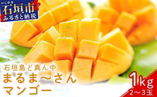 ＜先行予約＞「マンゴー」 ⽯垣島ど真ん中 まるま～さん マンゴー 1kg (2～3玉) ≪2026年7月頃より順次発送予定≫ (アーウィン種)【 産地直送 マンゴー アーウィンマンゴー アップルマンゴー 沖縄県 八重山 石垣産 アーウィン種 マンゴー フルーツ 果物 】 IT-1