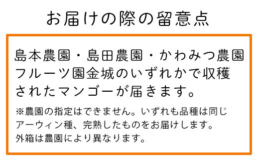 ＜先行予約＞「マンゴー」 ⽯垣島ど真ん中 まるま～さん マンゴー 1kg (2～3玉) ≪2026年7月頃より順次発送予定≫ (アーウィン種)【 産地直送 マンゴー アーウィンマンゴー アップルマンゴー 沖縄県 八重山 石垣産 アーウィン種 マンゴー フルーツ 果物 】 IT-1