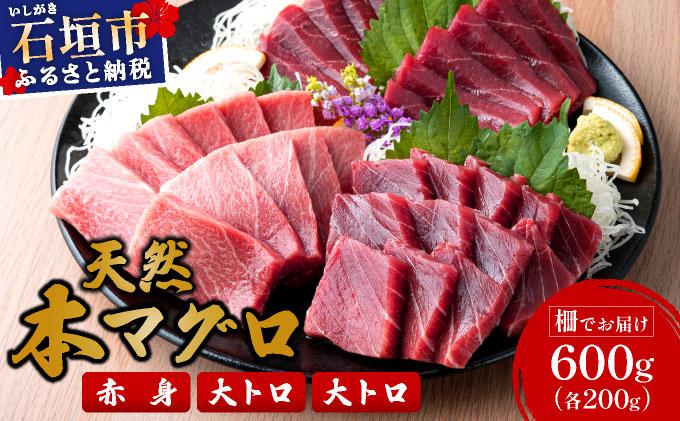 【数量限定】石垣島産 天然本マグロ600g (まぐろ赤身・中トロ・大トロのミックスセット) ヤエスイ マグロ船直送【順次発送】 | 産地直送 大トロ 大とろ 中トロ 中とろ 国産 まぐろ 鮪 天然 赤身 魚 お刺身 本まぐろ マグロ 沖縄県 沖縄 琉球 八重山 八重山諸島 石垣島 石垣 石垣島産
