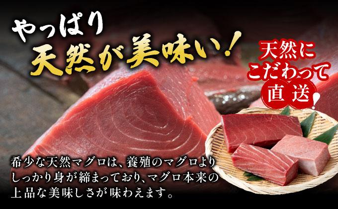 【数量限定】石垣島産 天然本マグロ600g (まぐろ赤身・中トロ・大トロのミックスセット) ヤエスイ マグロ船直送【順次発送】 | 産地直送 大トロ 大とろ 中トロ 中とろ 国産 まぐろ 鮪 天然 赤身 魚 お刺身 本まぐろ マグロ 沖縄県 沖縄 琉球 八重山 八重山諸島 石垣島 石垣 石垣島産