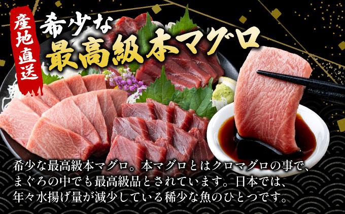 【数量限定】石垣島産 天然本マグロ600g (まぐろ赤身・中トロ・大トロのミックスセット) ヤエスイ マグロ船直送【順次発送】 | 産地直送 大トロ 大とろ 中トロ 中とろ 国産 まぐろ 鮪 天然 赤身 魚 お刺身 本まぐろ マグロ 沖縄県 沖縄 琉球 八重山 八重山諸島 石垣島 石垣 石垣島産