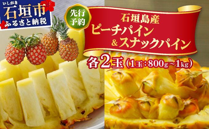 ïŒå
è¡äºçŽïŒ ããŒããã€ã³ ã¹ããã¯ãã€ã³ å2çã»ãã ïŒ2026幎4æçºéïŒ | æ²çžç ç³å£åž ç³å£å³¶ç£ ãã€ã³ ãã€ãããã« ZH-024