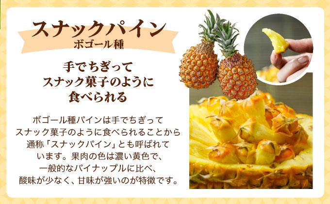 ïŒå
è¡äºçŽïŒ ããŒããã€ã³ ã¹ããã¯ãã€ã³ å2çã»ãã ïŒ2026幎4æçºéïŒ | æ²çžç ç³å£åž ç³å£å³¶ç£ ãã€ã³ ãã€ãããã« ZH-024