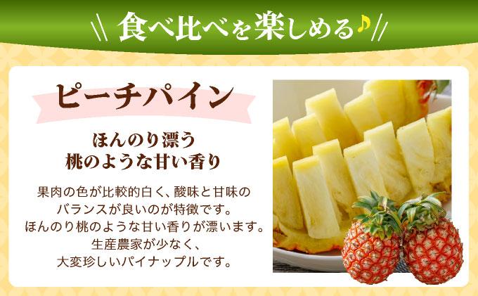 ïŒå
è¡äºçŽïŒ ããŒããã€ã³ ã¹ããã¯ãã€ã³ å2çã»ãã ïŒ2026幎4æçºéïŒ | æ²çžç ç³å£åž ç³å£å³¶ç£ ãã€ã³ ãã€ãããã« ZH-024