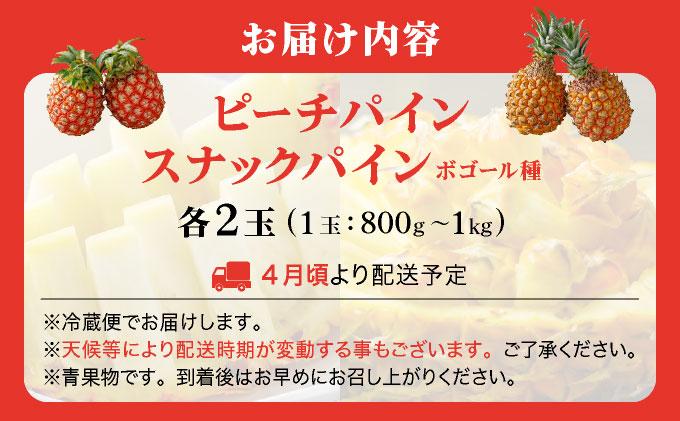 ïŒå
è¡äºçŽïŒ ããŒããã€ã³ ã¹ããã¯ãã€ã³ å2çã»ãã ïŒ2026幎4æçºéïŒ | æ²çžç ç³å£åž ç³å£å³¶ç£ ãã€ã³ ãã€ãããã« ZH-024