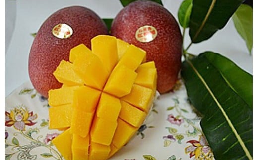 ïŒå
è¡äºçŽïŒç³å£å³¶ç£ãã³ãŽãŒ(ã¢ãŒãŠã£ã³çš®) 4ïœ5ç çŽ2kg | ãã³ãŽãŒ ã¢ããã«ãã³ãŽãŒ æ²çžç IF-2