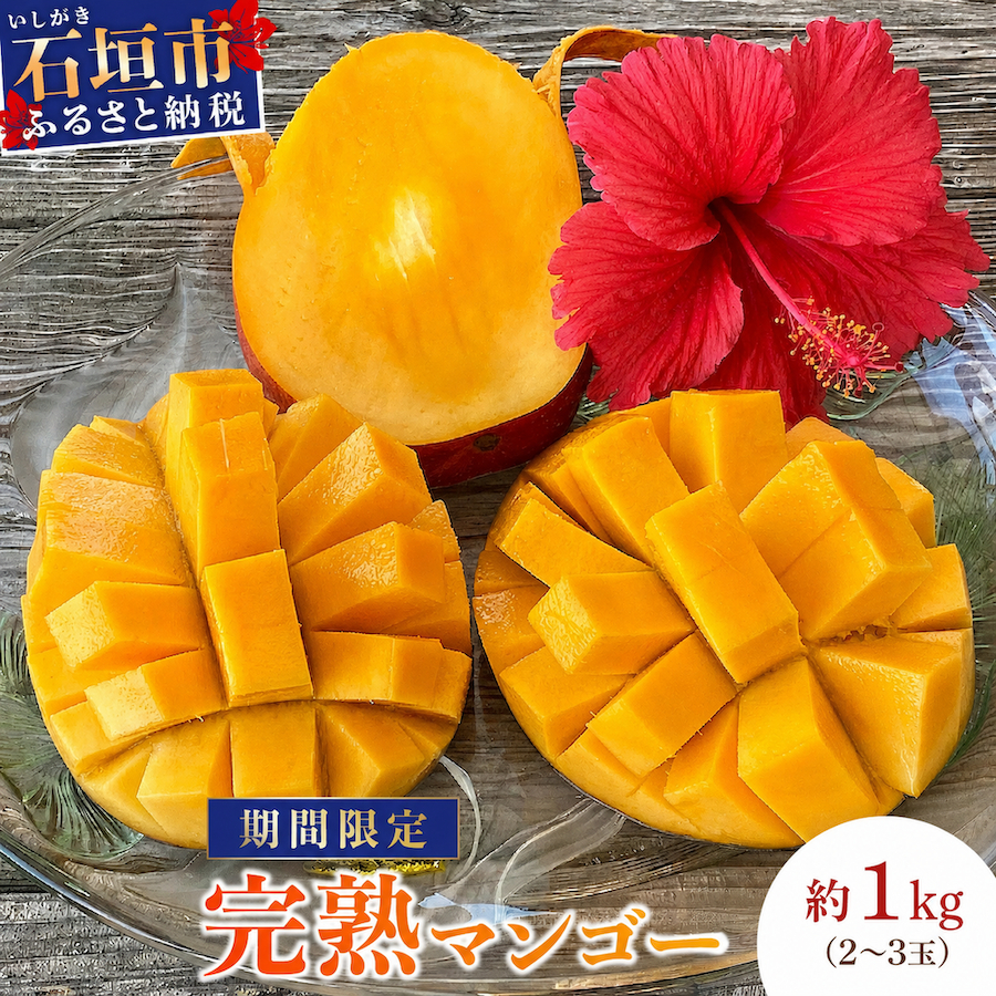 ＜先行予約＞石垣島産マンゴー (アーウィン種) 2～3玉 約1kg | マンゴー アップルマンゴー 沖縄県 IF-1