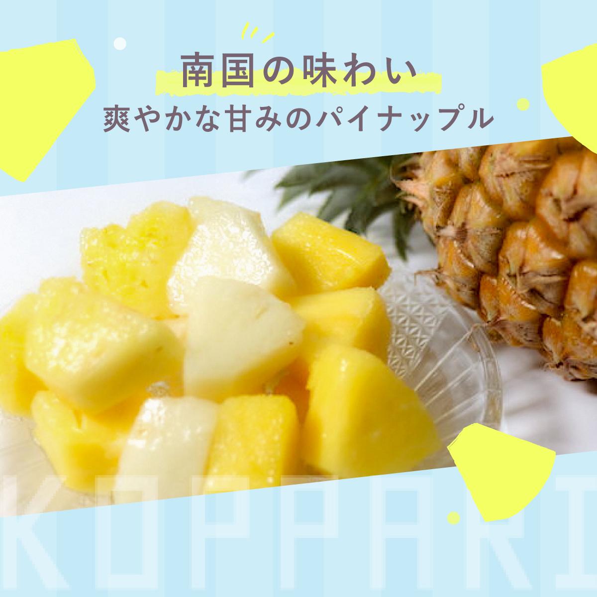 å
è¡äºçŽïŒ2026幎6æããé æ¬¡çºéïŒèŽ
æ²¢3çš®ãããŒãºã³ãã€ãããã« 3ããã¯ã æ²çžç ç³å£åž æç© ãã€ãããã« å·å ãã€ã³ ãããŒãºã³ éæç¡æ ã EF-5