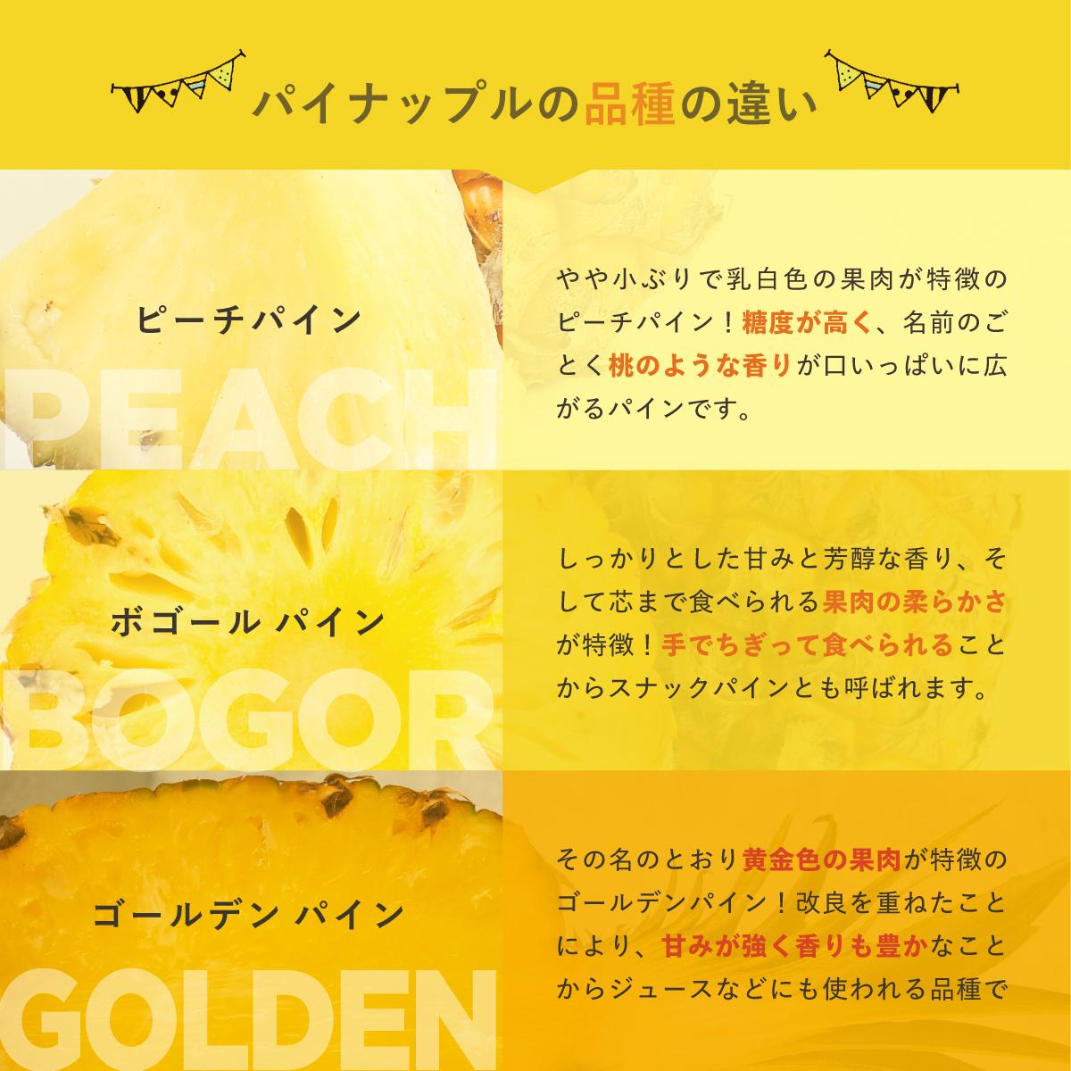 å
è¡äºçŽïŒ2026幎6æããé æ¬¡çºéïŒèŽ
æ²¢3çš®ãããŒãºã³ãã€ãããã« 3ããã¯ã æ²çžç ç³å£åž æç© ãã€ãããã« å·å ãã€ã³ ãããŒãºã³ éæç¡æ ã EF-5