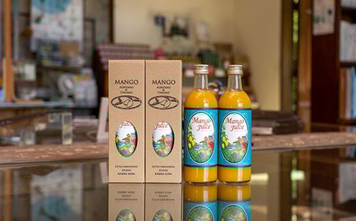 【6回定期便】マンゴージュースセット 500ml×4本 (隔月発送・6回定期便) W-010