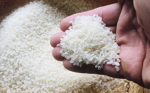 ＜期間限定 春フェア＞ 石垣島産 星の美(かい)しゃ 5kg みやぎ米屋【 日本一早い新米の産地 石垣 米 お米 産地直送 旬 ほしじるし 沖縄県 石垣市 】MK-3 