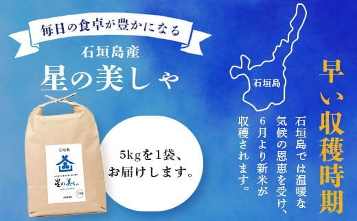 ＜期間限定 春フェア＞ 石垣島産 星の美(かい)しゃ 5kg みやぎ米屋【 日本一早い新米の産地 石垣 米 お米 産地直送 旬 ほしじるし 沖縄県 石垣市 】MK-3 