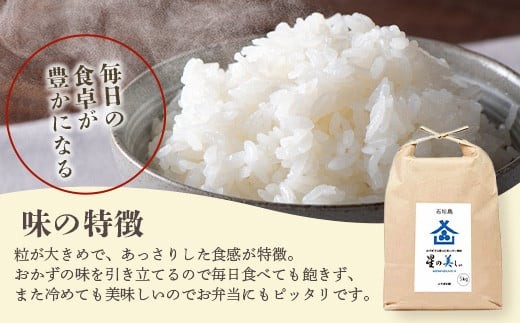 ＜期間限定 春フェア＞ 石垣島産 星の美(かい)しゃ 5kg みやぎ米屋【 日本一早い新米の産地 石垣 米 お米 産地直送 旬 ほしじるし 沖縄県 石垣市 】MK-3 