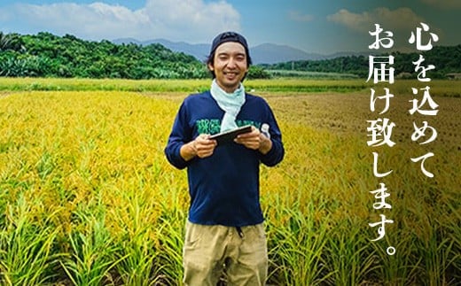 石垣島産 於茂登(おもと)のひかり 5kg みやぎ米屋【 日本一早い新米の産地 石垣 米 お米 産地直送 旬 しきゆたか 沖縄県 石垣市 】MK-1 