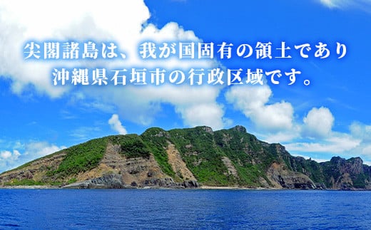 【返礼品なし】石垣市の宝「尖閣諸島」資料収集及び情報発信等事業 の為の寄附(50,000円)