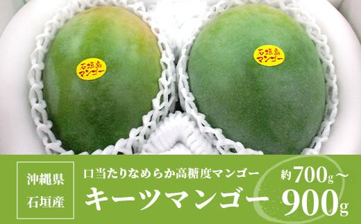 ＜先行予約＞ 沖縄県石垣島産 キーツマンゴー 約700～900g【2026年8月発送】【口当たりがなめらかな 高糖度マンゴー】