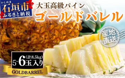 ＜先行予約＞ 石垣島産 ゴールドバレルパイン 大玉5～6個入り 約8.5kg ＜2026年7月以降発送＞ | 産地直送 沖縄 石垣 フルーツ パイナップル パイン ゴールドバレルパイン SI-8-2