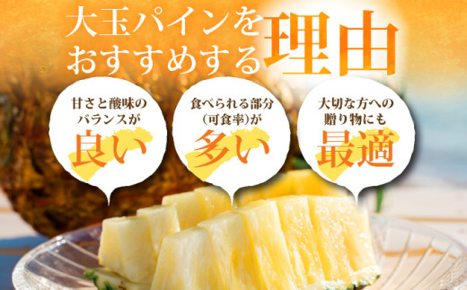 ＜先行予約＞ 石垣島産 ゴールドバレルパイン 大玉5～6個入り 約8.5kg ＜2026年7月以降発送＞ | 産地直送 沖縄 石垣 フルーツ パイナップル パイン ゴールドバレルパイン SI-8-2