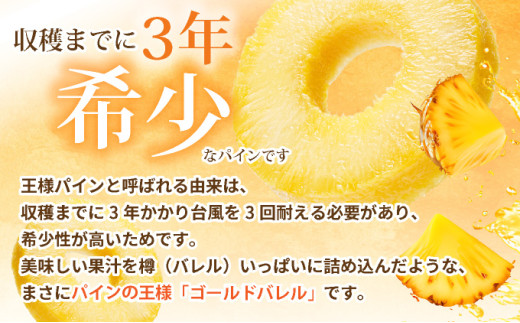＜先行予約＞ 石垣島産 ゴールドバレルパイン 大玉5～6個入り 約8.5kg ＜2026年7月以降発送＞ | 産地直送 沖縄 石垣 フルーツ パイナップル パイン ゴールドバレルパイン SI-8-2