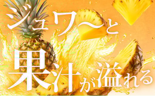 ＜先行予約＞ 石垣島産 ゴールドバレルパイン 大玉5～6個入り 約8.5kg ＜2026年7月以降発送＞ | 産地直送 沖縄 石垣 フルーツ パイナップル パイン ゴールドバレルパイン SI-8-2