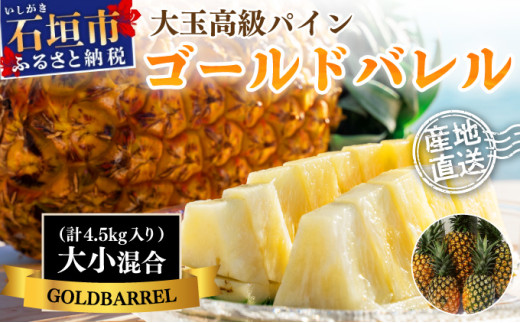 ＜先行予約＞【訳あり】石垣島産 ゴールドバレルパイン 大小混合セット 約4.5kg ＜2026年7月以降発送＞ | 産地直送 沖縄 石垣 フルーツ パイナップル パイン ゴールドバレルパイン【規格外】SI-7-1